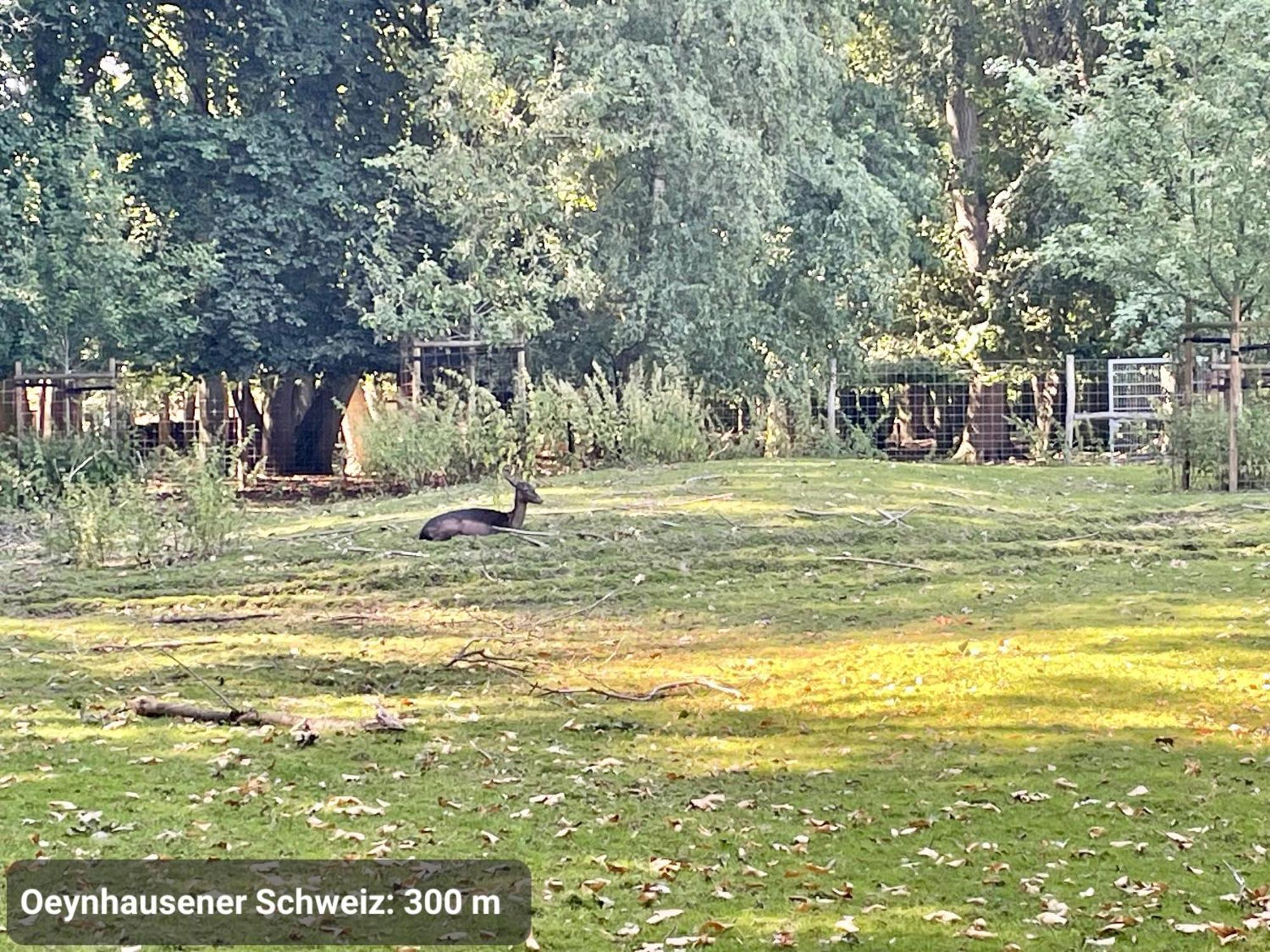 Top-Lage, 400 M Bis Gop, Bali-Therme Und Kurpark - Hdz - Parkplatz Bad Oeynhausen Buitenkant foto